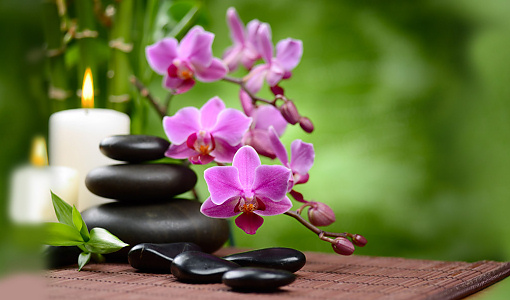 Kattaria Thaimassage