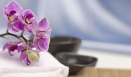 Kattaria Thaimassage